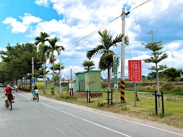 關山環鎮自行車道：道路與椰子樹